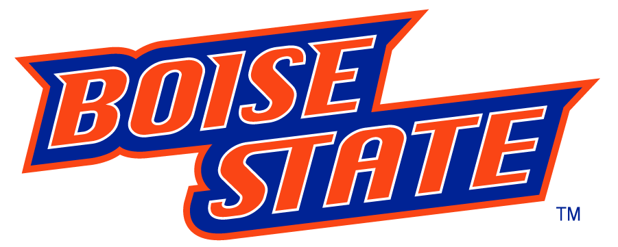Boise State Broncos 2002-2012 Wordmark Logo t shirts iron on transfers